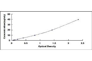 Typical standard curve (PTGS1 Kit ELISA)