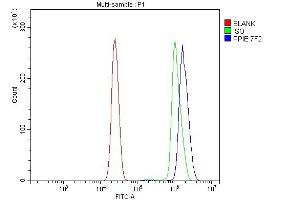Flow Cytometry analysis of U937 cells using anti-Cyclophilin E/PPIE antibody (ABIN7599243). (PPIE anticorps  (AA 1-301))