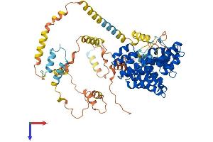 AlphaFold protein structure predicition of Human Recombinant PEX5 Protein, UniprotID P50542