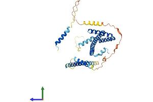AlphaFold protein structure predicition of Human Recombinant SURF6 Protein, UniprotID O75683