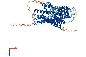 AlphaFold protein structure predicition of Mouse Recombinant Slc36a2 Protein, UniprotID Q8BHK3