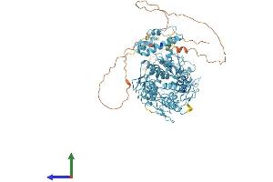 AlphaFold protein structure predicition of Human Recombinant ZNF425 Protein, UniprotID Q6IV72