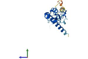 AlphaFold protein structure predicition of Human Recombinant RNF181 Protein, UniprotID Q9P0P0