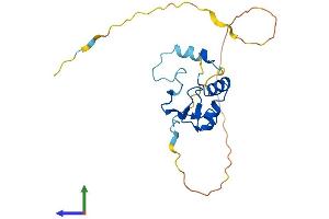 AlphaFold protein structure predicition of Human Recombinant INO80C Protein, UniprotID Q6PI98