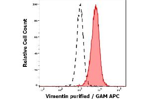 Separation of HeLa cells stained using anti-Vimentin (VI-01) purified antibody (concentration in sample 5 μg/mL, GAM APC, red-filled) from HeLa cells unstained by primary antibody (GAM APC, black-dashed) in flow cytometry analysis (intracellular staining of methanol permeabilisated cells).