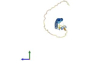 AlphaFold protein structure predicition of Mouse Recombinant Kxd1 Protein, UniprotID Q80XH1