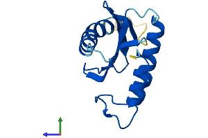 AlphaFold protein structure predicition of Mouse Recombinant Trappc2l Protein, UniprotID Q9JME7 (TRAPPC2L Protein (AA 1-139) (His tag))