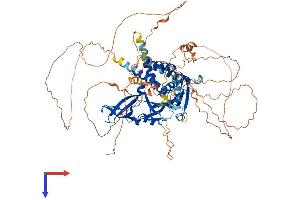 AlphaFold protein structure predicition of Human Recombinant USP1 Protein, UniprotID O94782