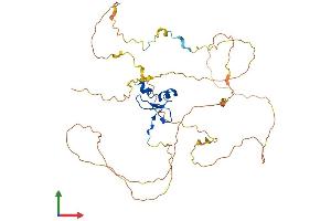 AlphaFold protein structure predicition of Human Recombinant PYGO1 Protein, UniprotID Q9Y3Y4