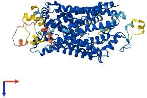 AlphaFold protein structure predicition of Human Recombinant SLC6A6 Protein, UniprotID P31641