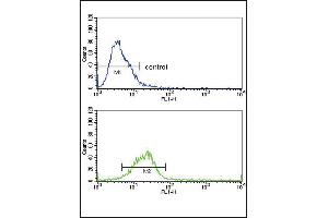HS Antibody (N-term) (ABIN650754 and ABIN2839488) flow cytometric analysis of Hela cells (bottom histogram) compared to a negative control cell (top histogram).
