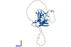 AlphaFold protein structure predicition of Human Recombinant PRKAB2 Protein, UniprotID O43741