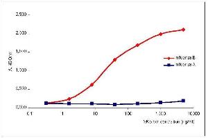 Titration curve of ABIN235671 specific to NP of Influenza B virus in indirect ELISA. (Influenza Nucleoprotein anticorps (Influenza B Virus))