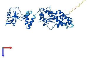 AlphaFold protein structure predicition of Human Recombinant DFFB Protein, UniprotID O76075