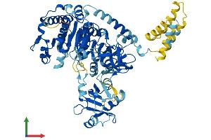 AlphaFold protein structure predicition of Mouse Recombinant Slc27a5 Protein, UniprotID Q4LDG0