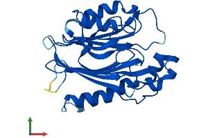 AlphaFold protein structure predicition of Human Recombinant TANGO2 Protein, UniprotID Q6ICL3