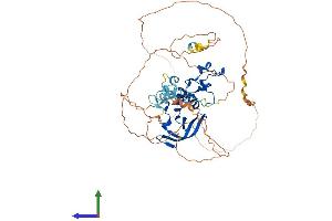 AlphaFold protein structure predicition of Mouse Recombinant Cnot2 Protein, UniprotID Q8C5L3