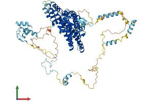 AlphaFold protein structure predicition of Mouse Recombinant Ascc2 Protein, UniprotID Q91WR3