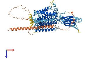 AlphaFold protein structure predicition of Human Recombinant HGSNAT Protein, UniprotID Q68CP4
