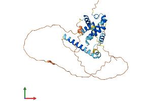 AlphaFold protein structure predicition of Human Recombinant BCL2L14 Protein, UniprotID Q9BZR8