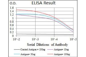 Red: Control Antigen (100ng) ; Purple: Antigen (10ng) ; Green: Antigen (50ng) ; Blue: Antigen (100ng). (JNK anticorps)