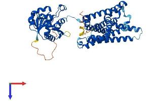 AlphaFold protein structure predicition of Human Recombinant STEAP3 Protein, UniprotID Q658P3