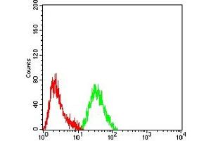 Flow cytometric analysis of Hela cells using PIK3R4 mouse mAb (green) and negative control (red).