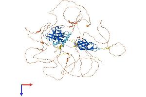 AlphaFold protein structure predicition of Mouse Recombinant Nfatc2 Protein, UniprotID Q60591