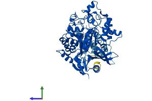 AlphaFold protein structure predicition of Human Recombinant ELP3 Protein, UniprotID Q9H9T3