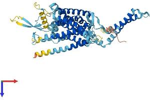 AlphaFold protein structure predicition of Human Recombinant LMBRD1 Protein, UniprotID Q9NUN5