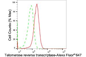 Flow cytometric analysis of Telomerase reverse transcriptase expression in C2C12 cells using Telomerase reverse transcriptase antibody (ABIN7800528), 1:2,000).