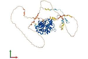 AlphaFold protein structure predicition of Human Recombinant PAK4 Protein, UniprotID O96013