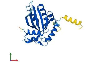 AlphaFold protein structure predicition of Human Recombinant AICDA Protein, UniprotID Q9GZX7