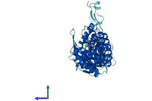 AlphaFold protein structure predicition of Human Recombinant CCT6B Protein, UniprotID Q92526