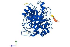 AlphaFold protein structure predicition of Human Recombinant FAM151B Protein, UniprotID Q6UXP7