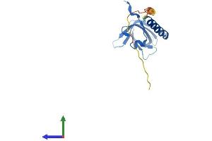 AlphaFold protein structure predicition of Mouse Recombinant Ten1 Protein, UniprotID Q9D7K2