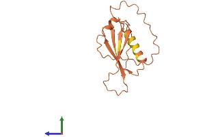 AlphaFold protein structure predicition of Human Recombinant LINC00479 Protein, UniprotID Q96M42