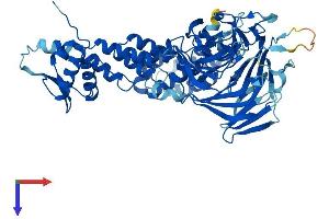 AlphaFold protein structure predicition of Human Recombinant CCIN Protein, UniprotID Q13939