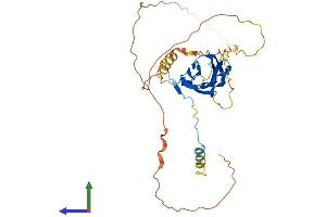 AlphaFold protein structure predicition of Mouse Recombinant Fndc8 Protein, UniprotID Q9D2H8