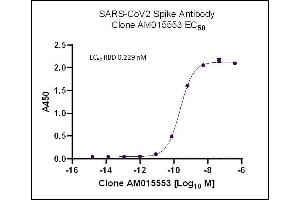 AbFlex SARS-CoV-2 Spike Antibody (rAb) (AM015553) tested by ELISA using SARS Spike protein RBD.