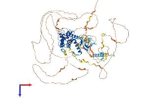 AlphaFold protein structure predicition of Human Recombinant GAS2L2 Protein, UniprotID Q8NHY3