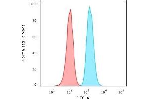 Flow Cytometric Analysis of PFA-fixed HeLa cells using GSTMu2 Mouse Monoclonal Antibody (CPTC-GSTMu2-2) followed by Goat anti-Mouse IgG-CF488 (Blue); Isotype Control (Red).