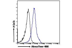 (ABIN185217) Flow cytometric analysis of paraformaldehyde fixed A431 cells (blue line), permeabilized with 0. (BAF53A and BAF53B (C-Term) anticorps)