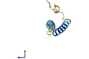 AlphaFold protein structure predicition of Mouse Recombinant Ss18l2 Protein, UniprotID Q9D174