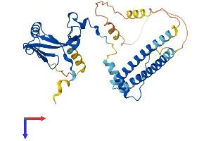 AlphaFold protein structure predicition of Mouse Recombinant Taf7 Protein, UniprotID Q9R1C0