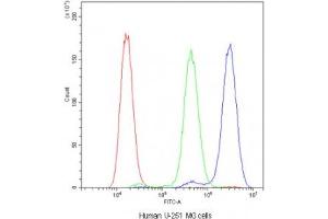 Flow cytometry testing of human U-251 MG cells with ADO antibody at 1ug/10^6 cells (blocked with goat sera) (ADO anticorps)