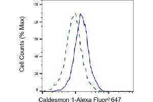 Validation of Caldesmon 1 knockdown using flow cytometry.