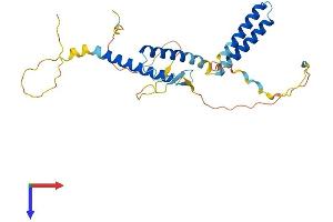 AlphaFold protein structure predicition of Mouse Recombinant Hes1 Protein, UniprotID P35428
