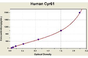 Cysteine-Rich, Angiogenic Inducer, 61 (CYR61) ELISA Kit