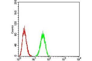 Flow cytometric analysis of A549 cells using BMP2 mouse mAb (green) and negative control (red).